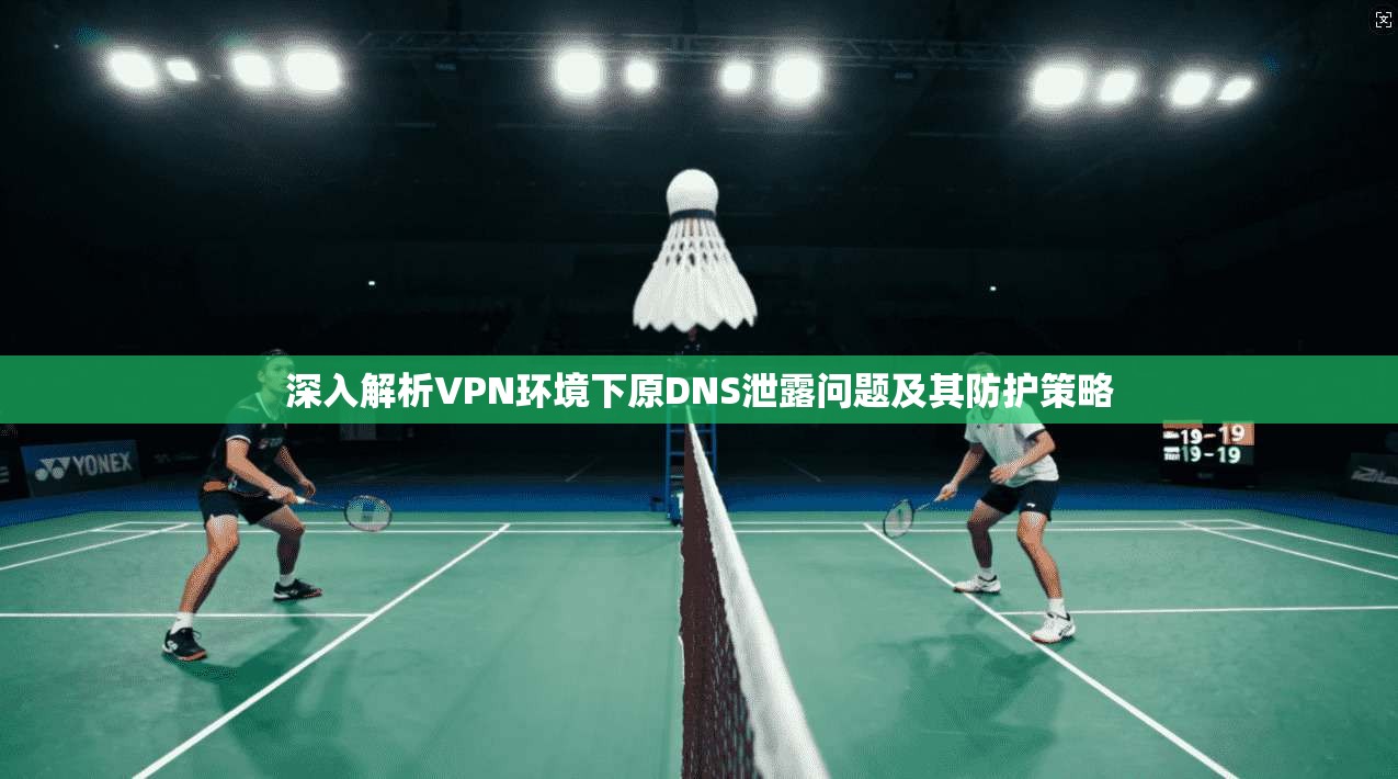 深入解析VPN环境下原DNS泄露问题及其防护策略  第1张
