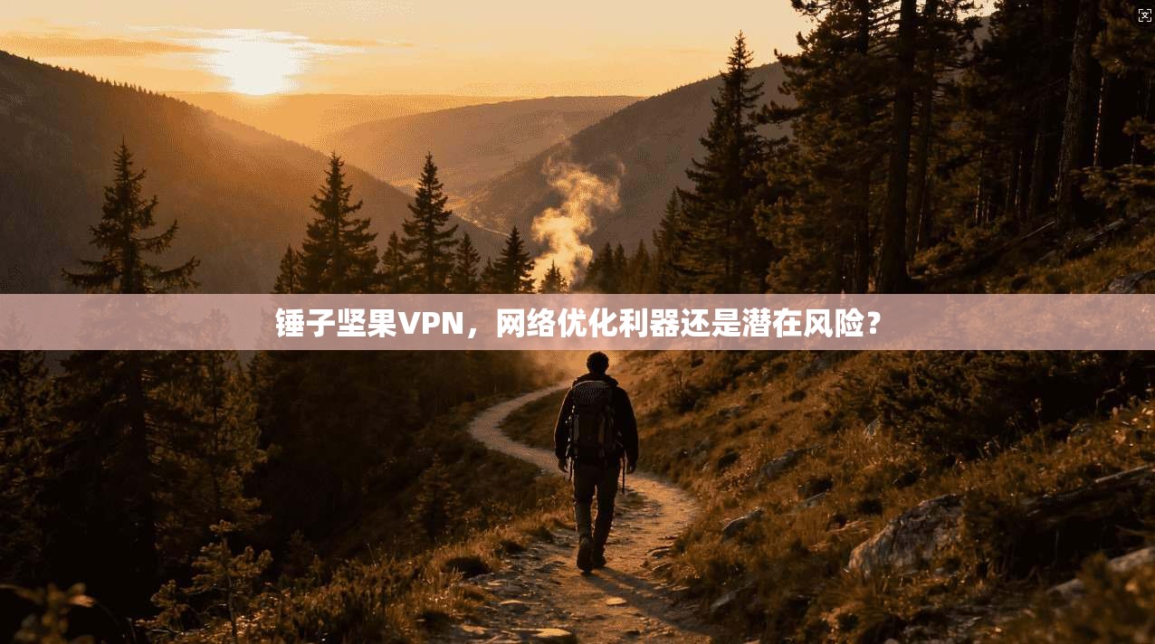 锤子坚果VPN，网络优化利器还是潜在风险？  第1张