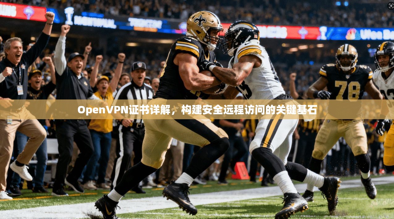 OpenVPN证书详解，构建安全远程访问的关键基石  第1张