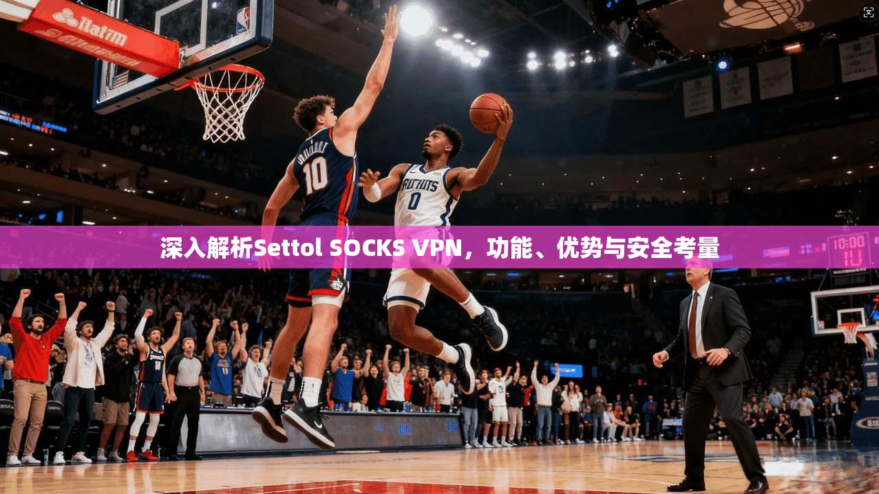 深入解析Settol SOCKS VPN，功能、优势与安全考量  第1张