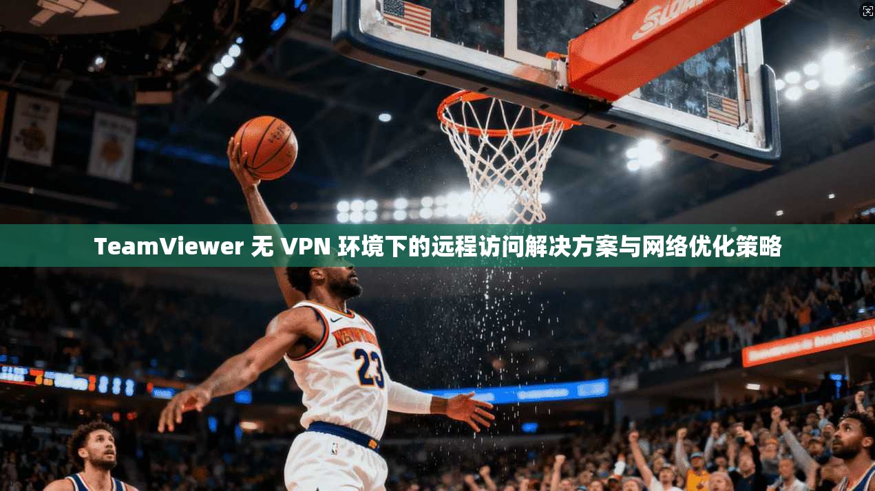 TeamViewer 无 VPN 环境下的远程访问解决方案与网络优化策略  第1张