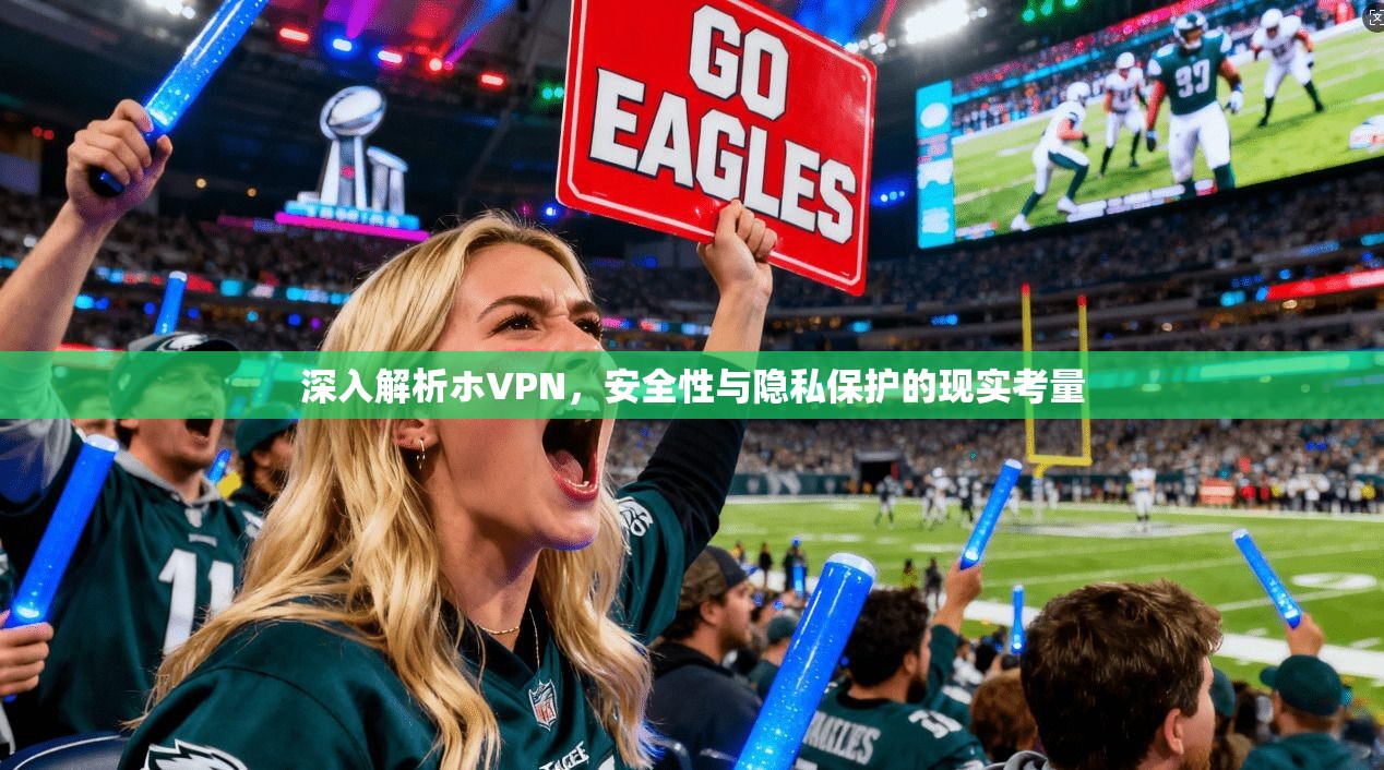 深入解析ホVPN，安全性与隐私保护的现实考量  第1张
