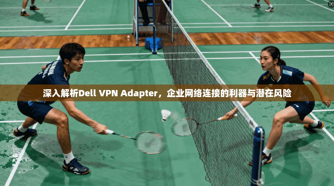 深入解析Dell VPN Adapter，企业网络连接的利器与潜在风险  第1张