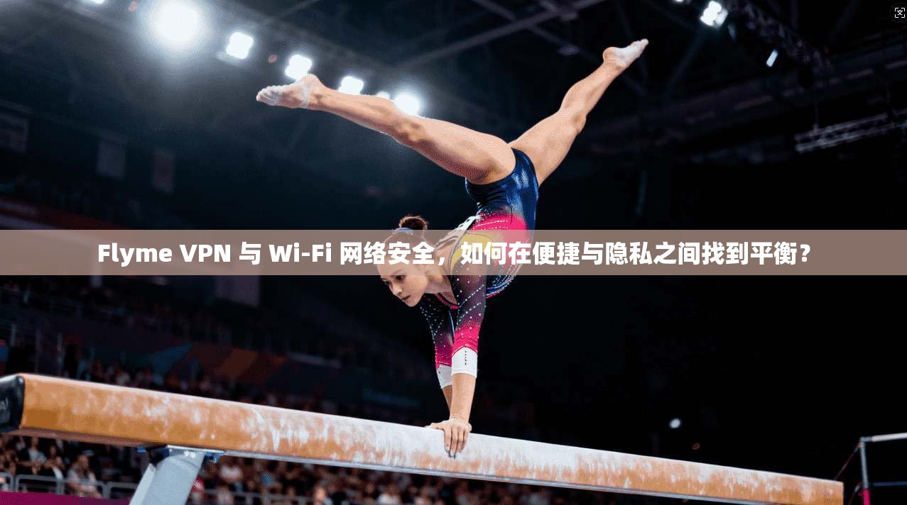 Flyme VPN 与 Wi-Fi 网络安全，如何在便捷与隐私之间找到平衡？  第1张
