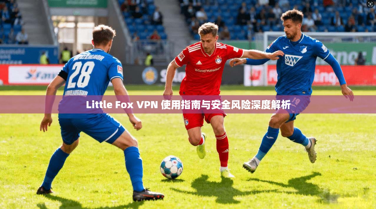 Little Fox VPN 使用指南与安全风险深度解析  第1张