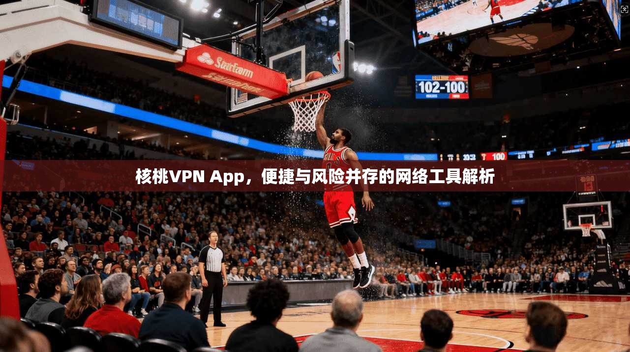 核桃VPN App，便捷与风险并存的网络工具解析  第1张