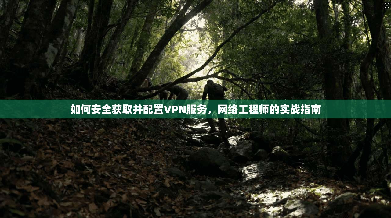 如何安全获取并配置VPN服务，网络工程师的实战指南  第1张