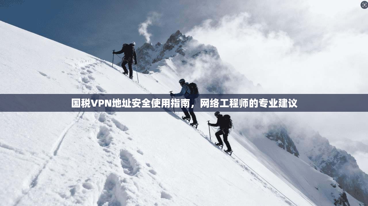 国税VPN地址安全使用指南,网络工程师的专业建议 第1张 国税VPN地址安全使用指南,网络工程师的专业建议 第1张