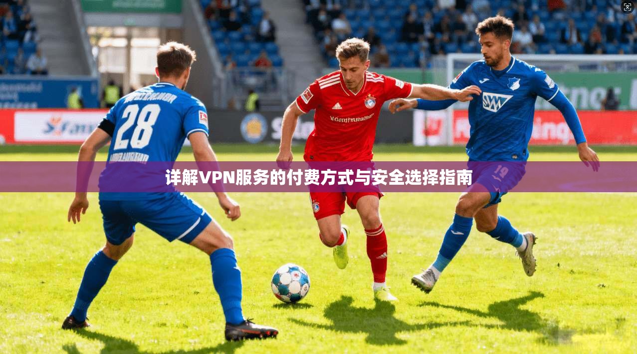 详解VPN服务的付费方式与安全选择指南 第1张 详解VPN服务的付费方式与安全选择指南 第1张