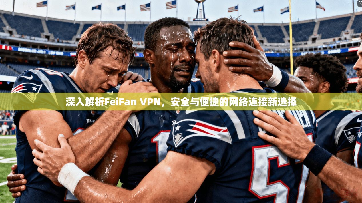 深入解析FeiFan VPN，安全与便捷的网络连接新选择  第1张