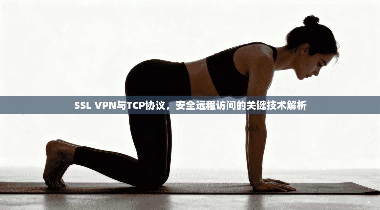 SSL VPN与TCP协议，安全远程访问的关键技术解析  第1张