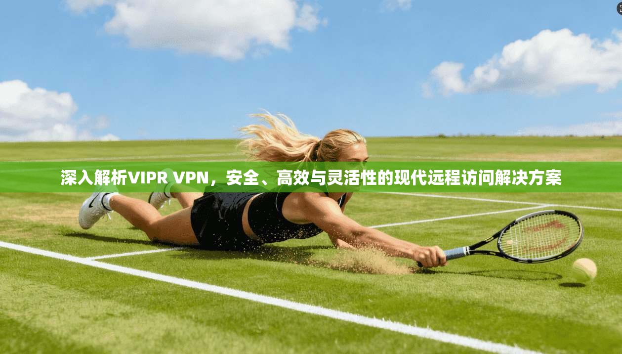 深入解析VIPR VPN，安全、高效与灵活性的现代远程访问解决方案  第1张