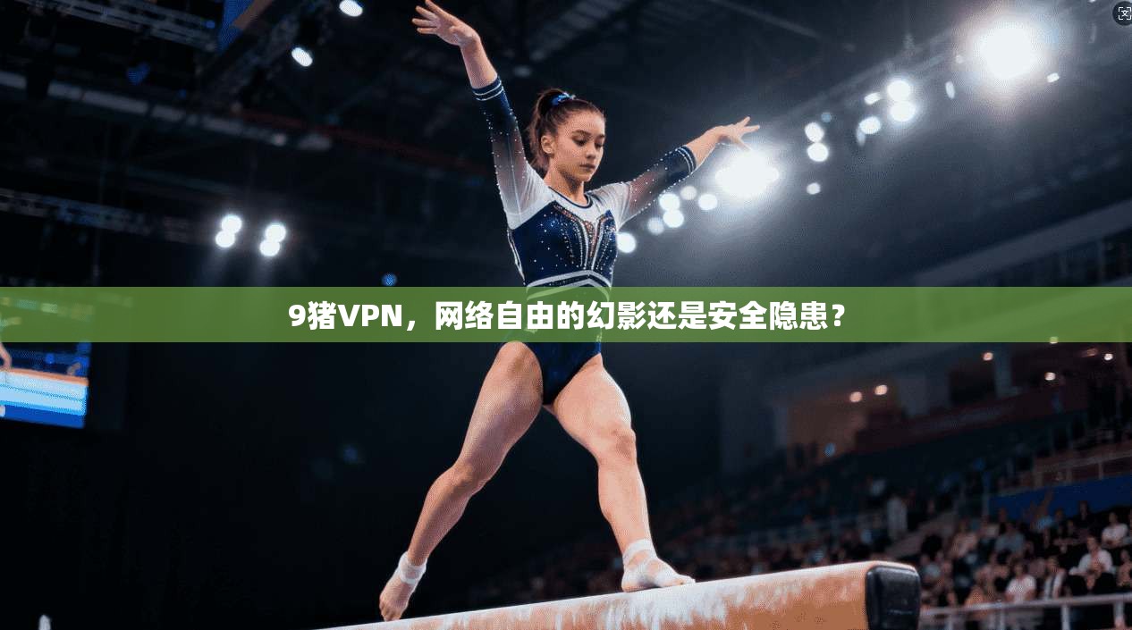 9猪VPN，网络自由的幻影还是安全隐患？  第1张