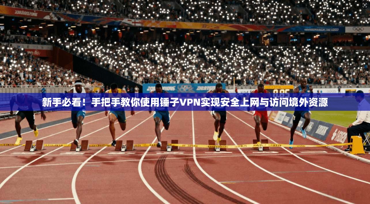 新手必看！手把手教你使用锤子VPN实现安全上网与访问境外资源  第1张