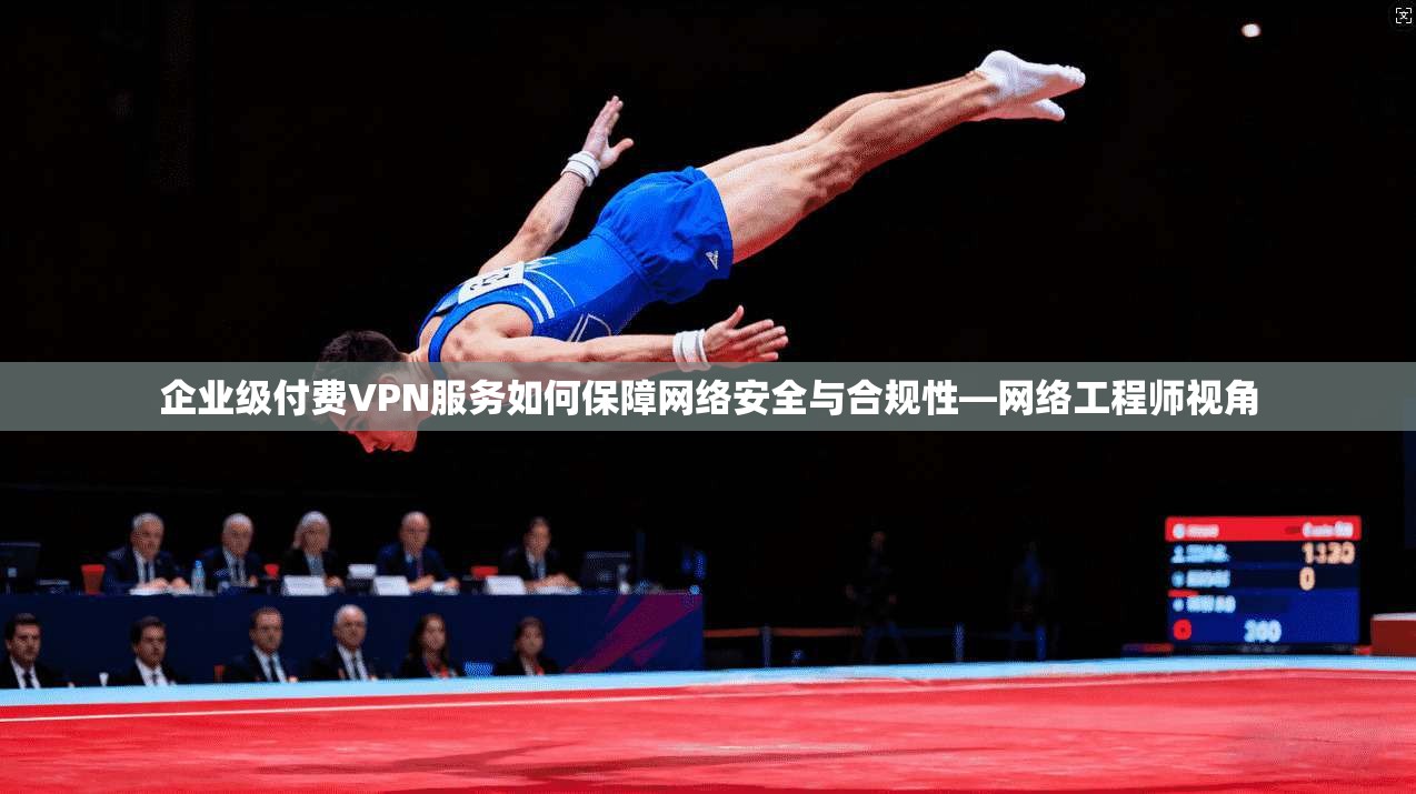 企业级付费VPN服务如何保障网络安全与合规性—网络工程师视角  第1张
