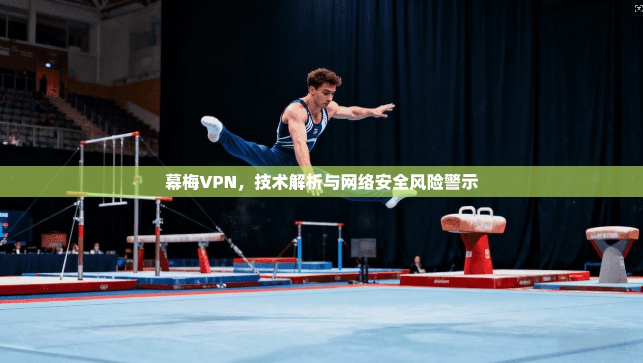 幕梅VPN，技术解析与网络安全风险警示  第1张