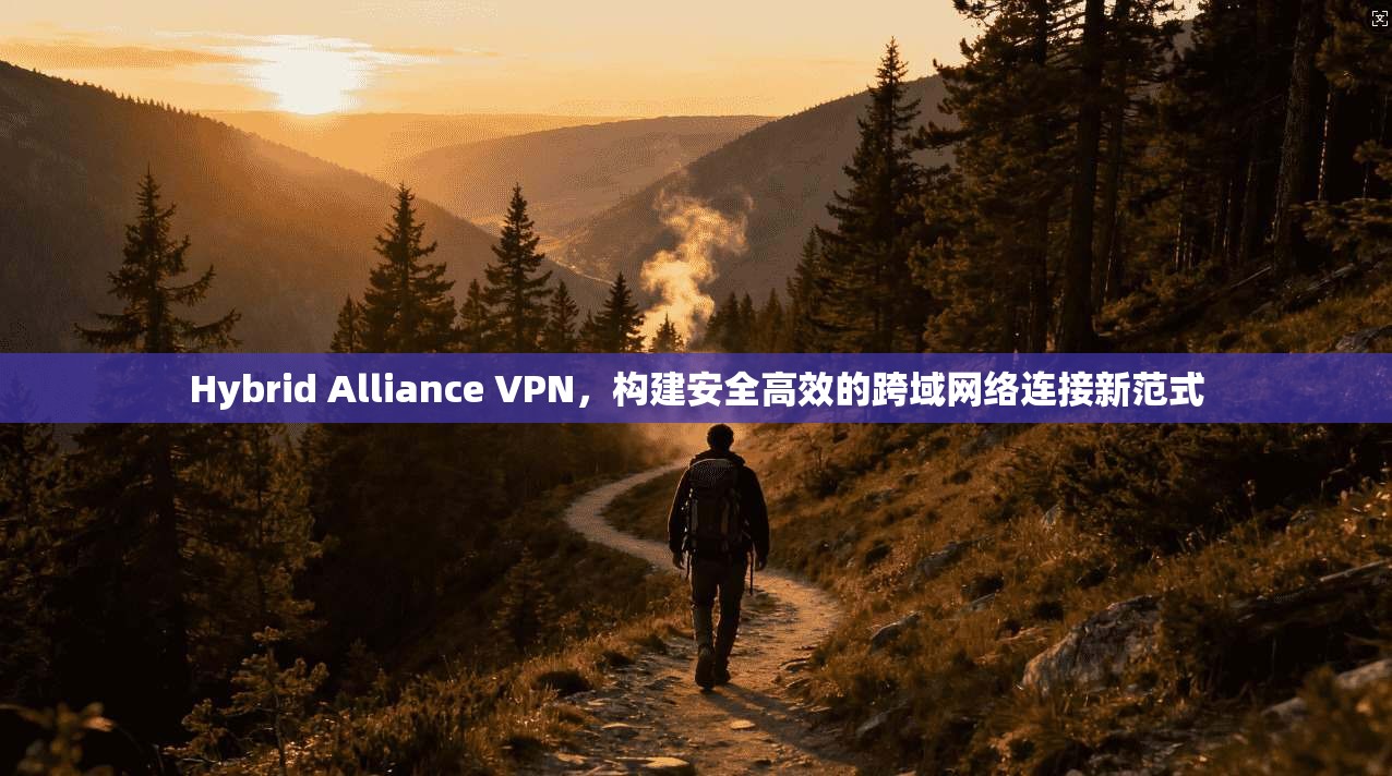 Hybrid Alliance VPN,构建安全高效的跨域网络连接新范式 第1张 Hybrid Alliance VPN,构建安全高效的跨域网络连接新范式 第1张