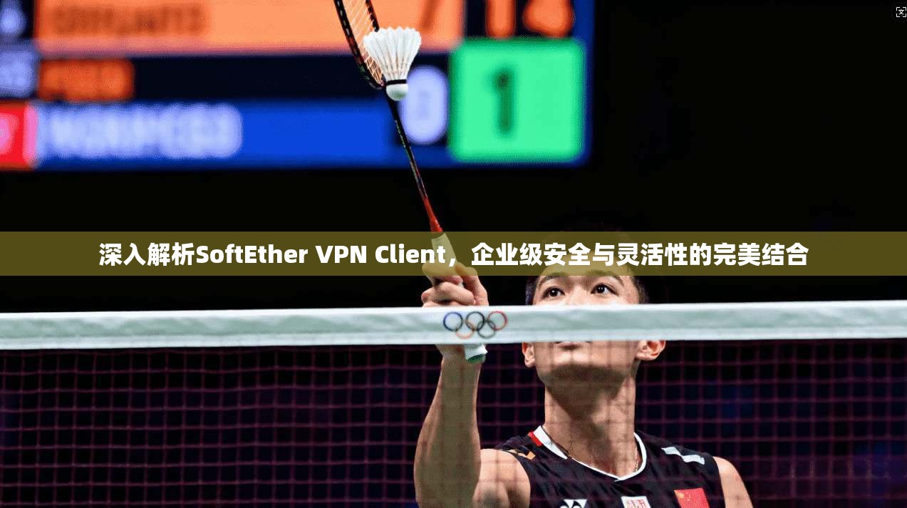 深入解析SoftEther VPN Client，企业级安全与灵活性的完美结合  第1张