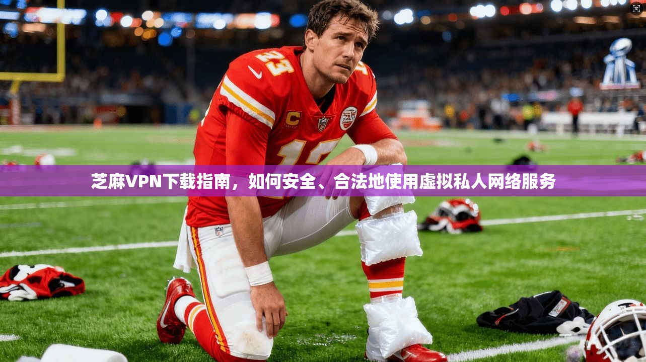 芝麻VPN下载指南,如何安全、合法地使用虚拟私人网络服务 第1张 芝麻VPN下载指南,如何安全、合法地使用虚拟私人网络服务 第1张