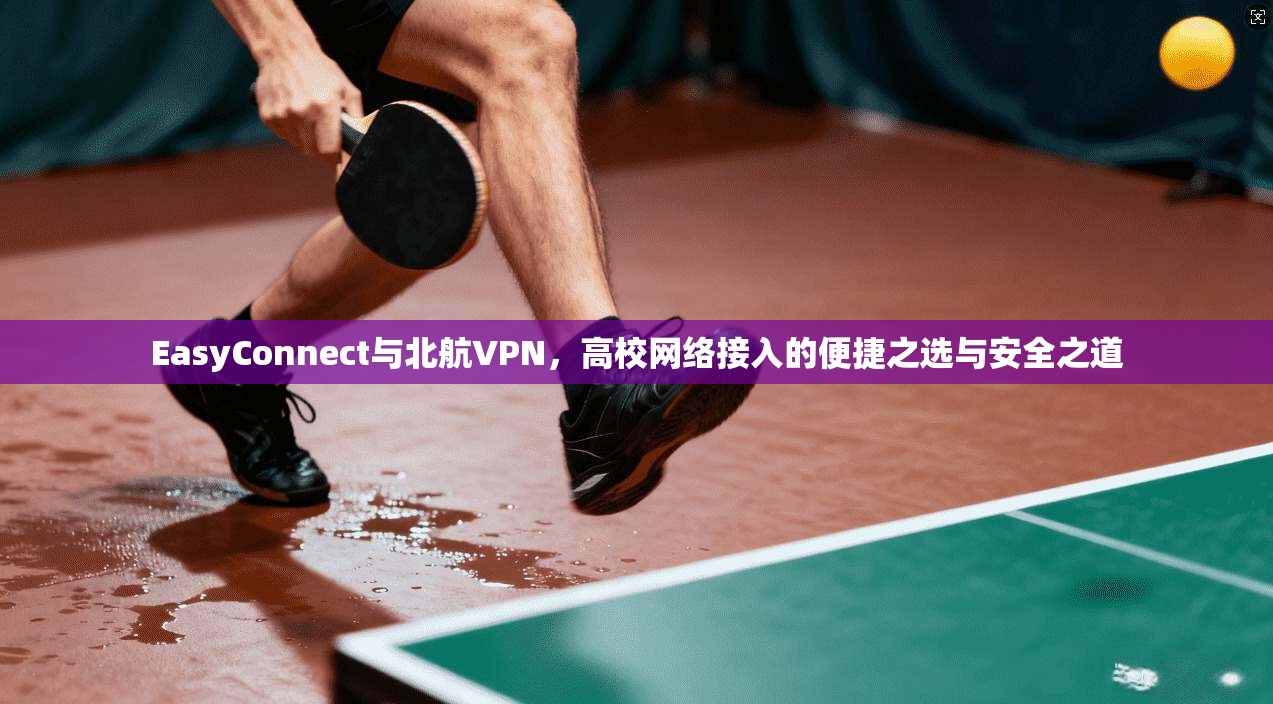 EasyConnect与北航VPN，高校网络接入的便捷之选与安全之道  第1张