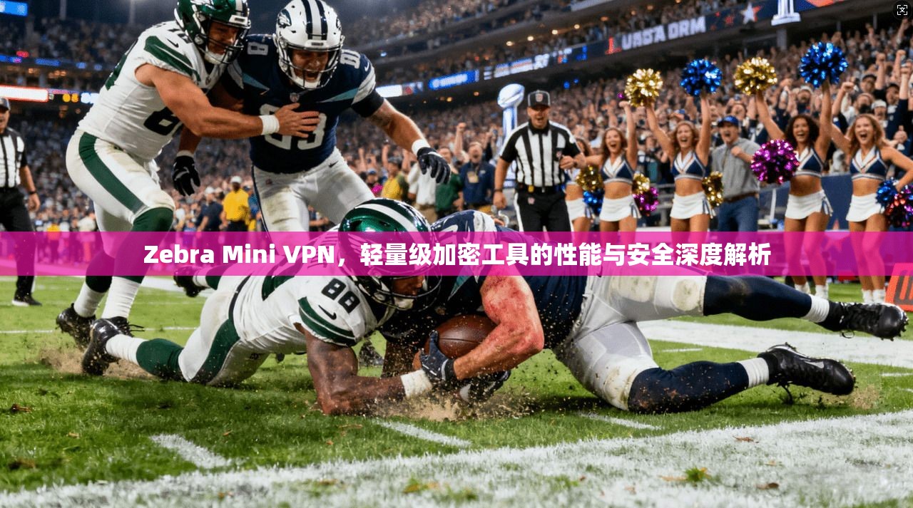 Zebra Mini VPN,轻量级加密工具的性能与安全深度解析 第1张 Zebra Mini VPN,轻量级加密工具的性能与安全深度解析 第1张