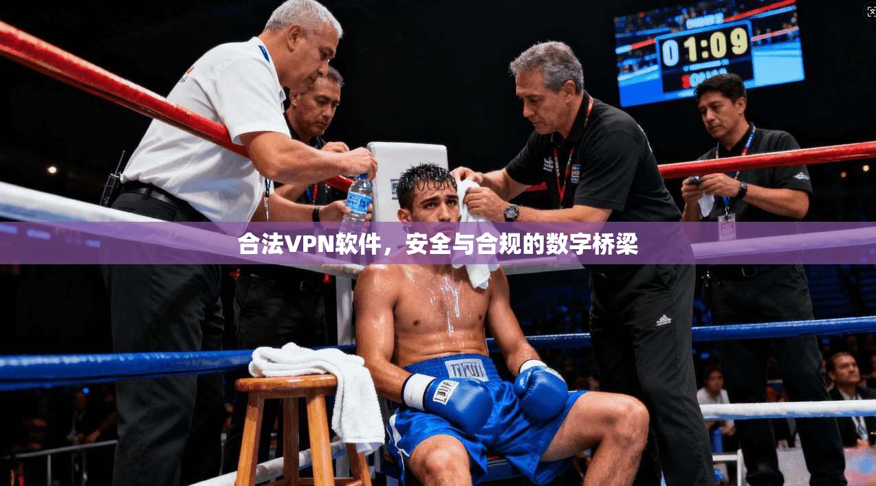 合法VPN软件，安全与合规的数字桥梁  第1张