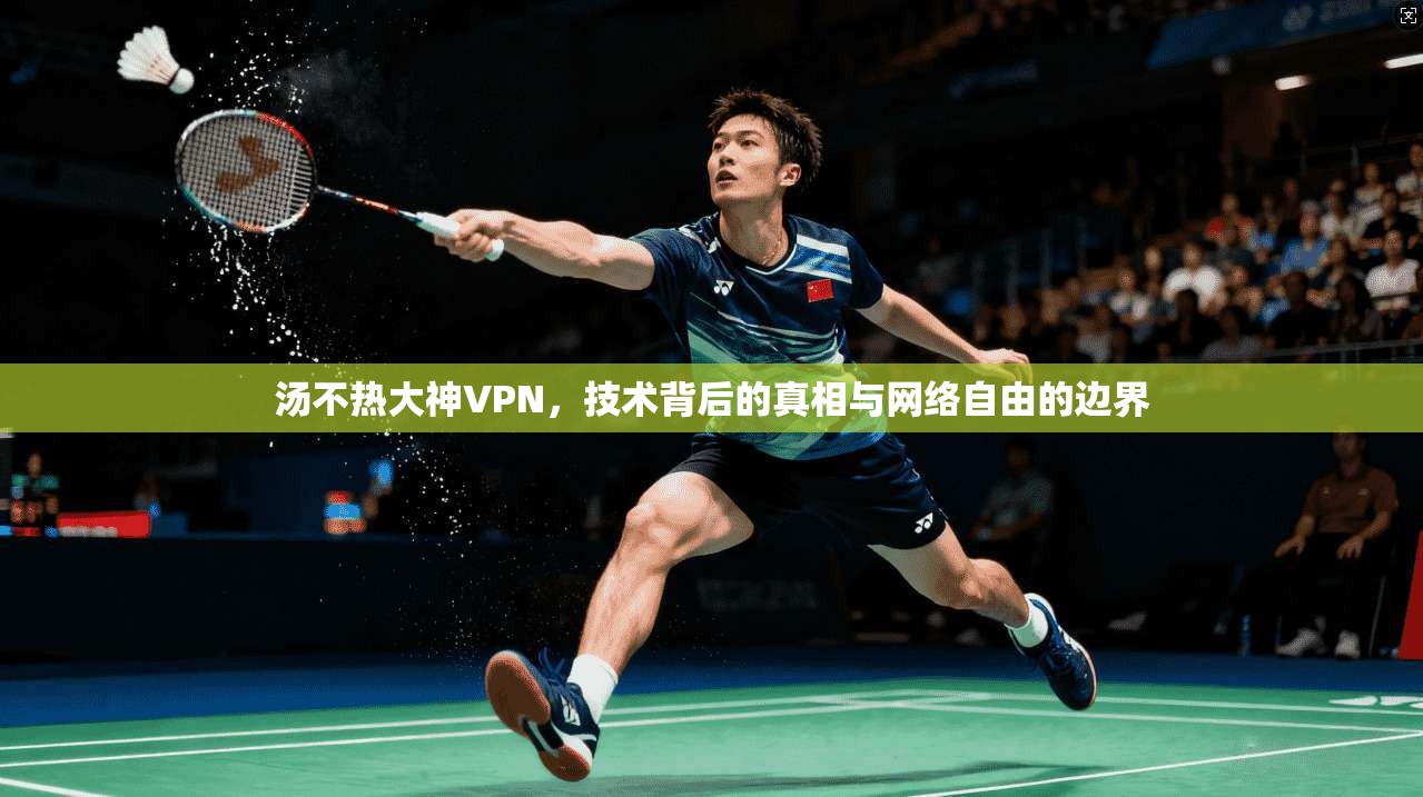 汤不热大神VPN，技术背后的真相与网络自由的边界  第1张