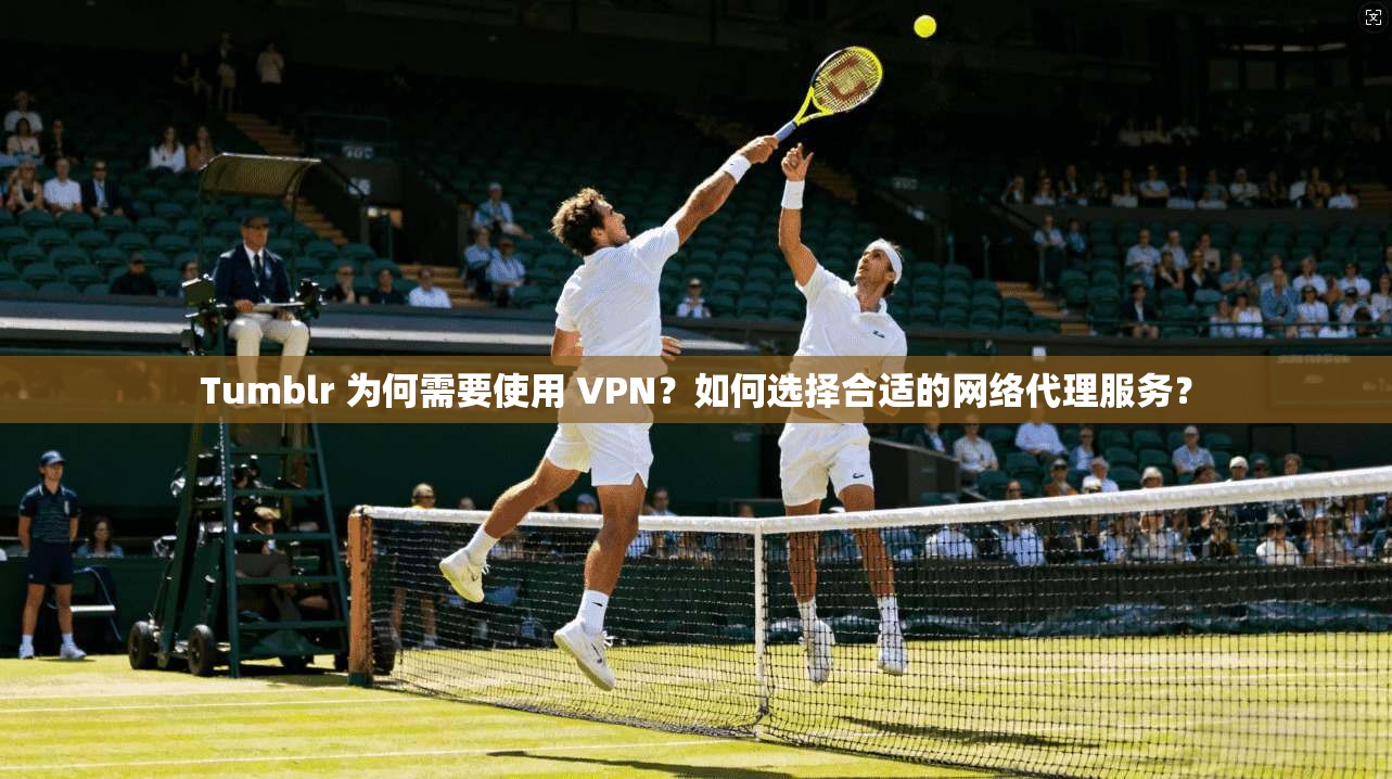Tumblr 为何需要使用 VPN?如何选择合适的网络代理服务? 第1张 Tumblr 为何需要使用 VPN?如何选择合适的网络代理服务? 第1张