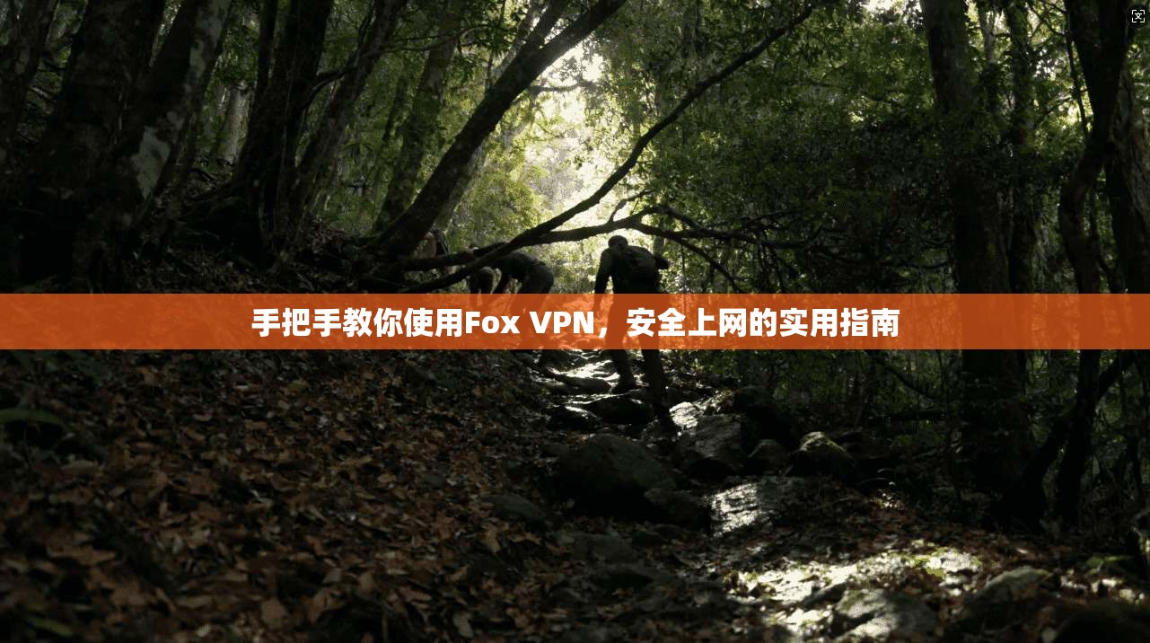 手把手教你使用Fox VPN,安全上网的实用指南 第1张 手把手教你使用Fox VPN,安全上网的实用指南 第1张