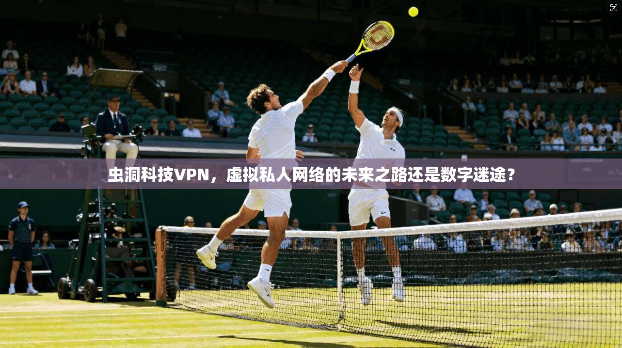 虫洞科技VPN,虚拟私人网络的未来之路还是数字迷途? 第1张 虫洞科技VPN,虚拟私人网络的未来之路还是数字迷途? 第1张