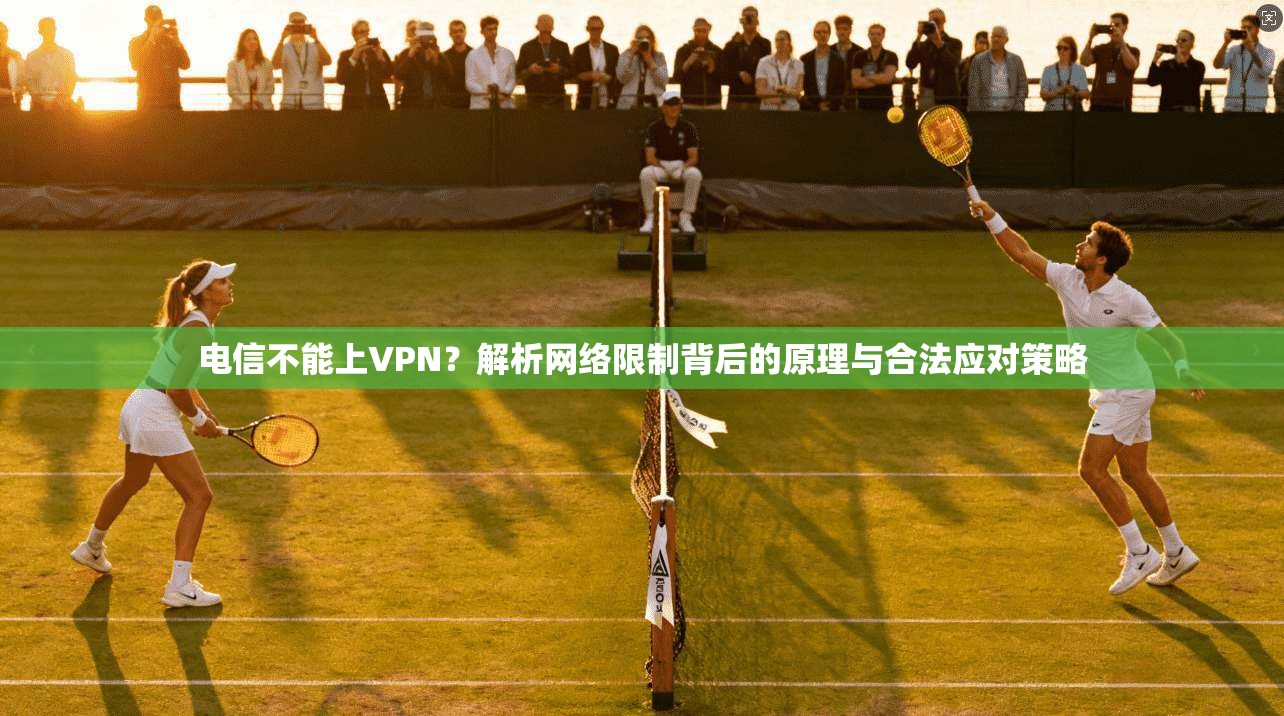 电信不能上VPN?解析网络限制背后的原理与合法应对策略 第1张 电信不能上VPN?解析网络限制背后的原理与合法应对策略 第1张