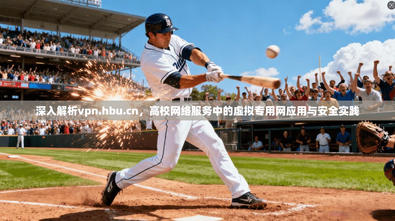 深入解析vpn.hbu.cn,高校网络服务中的虚拟专用网应用与安全实践 第1张 深入解析vpn.hbu.cn,高校网络服务中的虚拟专用网应用与安全实践 第1张
