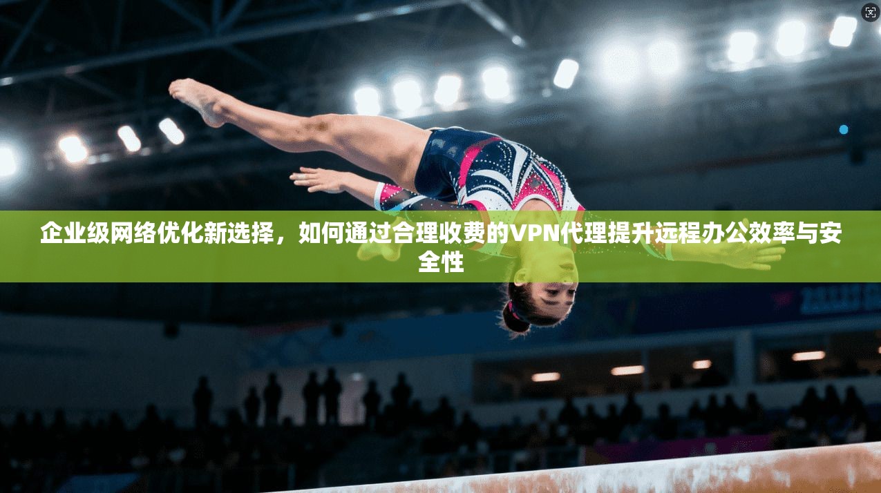 企业级网络优化新选择，如何通过合理收费的VPN代理提升远程办公效率与安全性  第1张