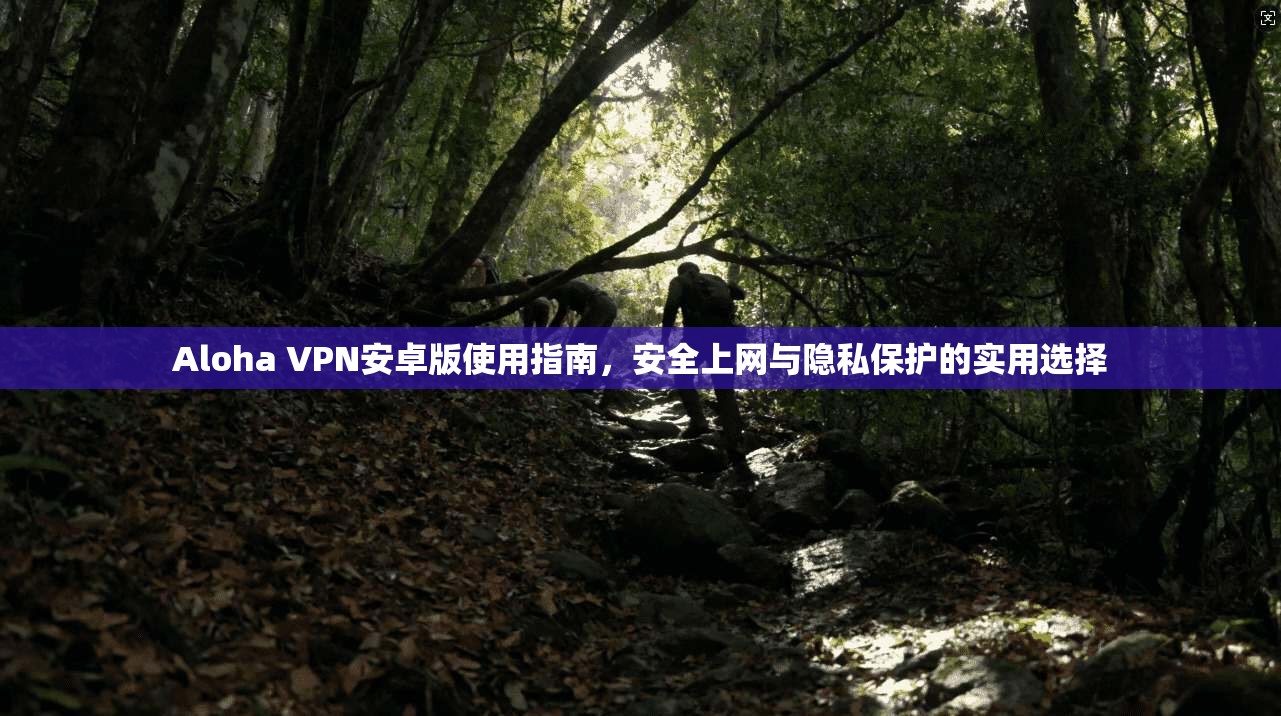 Aloha VPN安卓版使用指南,安全上网与隐私保护的实用选择 第1张 Aloha VPN安卓版使用指南,安全上网与隐私保护的实用选择 第1张