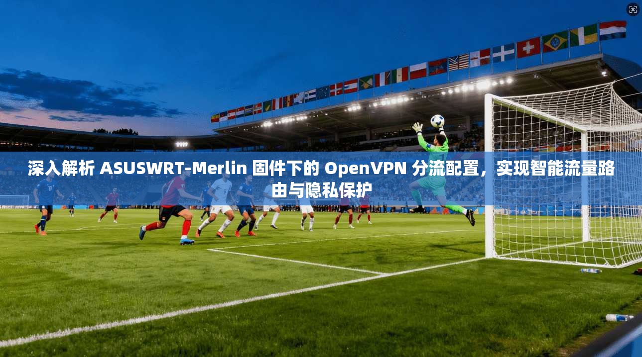 深入解析 ASUSWRT-Merlin 固件下的 OpenVPN 分流配置，实现智能流量路由与隐私保护  第1张
