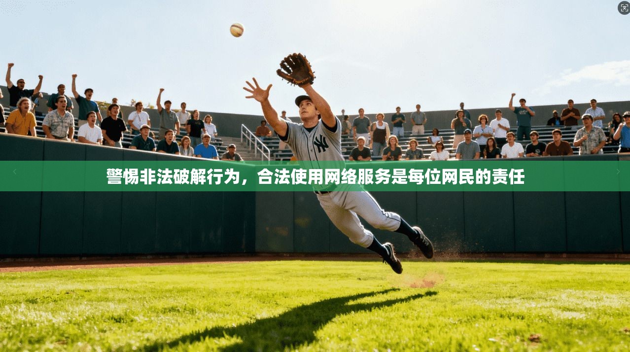 警惕非法破解行为,合法使用网络服务是每位网民的责任 第1张 警惕非法破解行为,合法使用网络服务是每位网民的责任 第1张