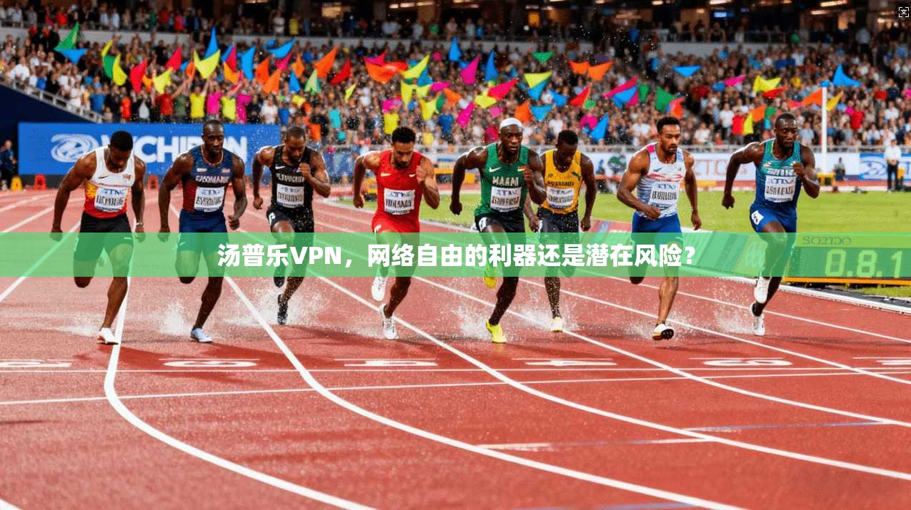 汤普乐VPN，网络自由的利器还是潜在风险？  第1张