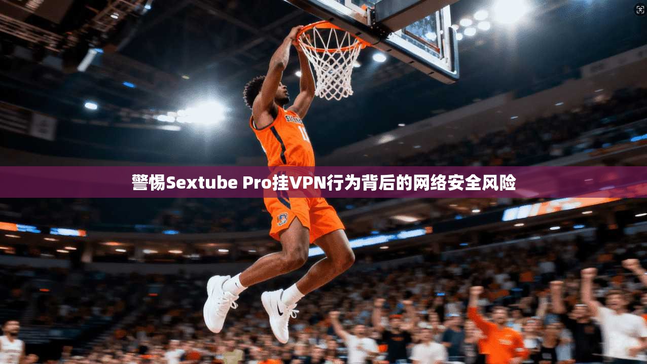 警惕Sextube Pro挂VPN行为背后的网络安全风险  第1张