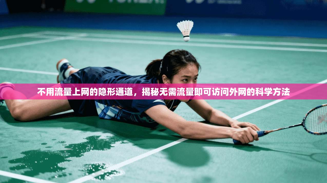 不用流量上网的隐形通道，揭秘无需流量即可访问外网的科学方法  第1张