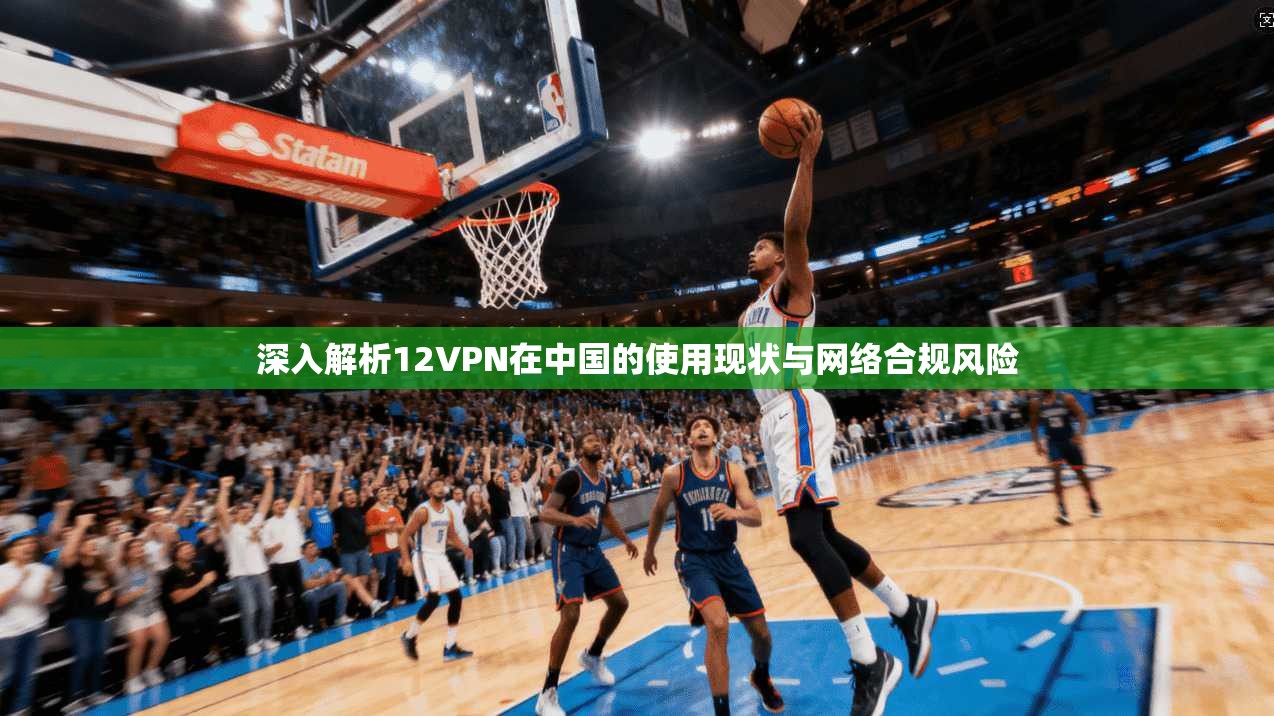 深入解析12VPN在中国的使用现状与网络合规风险  第1张