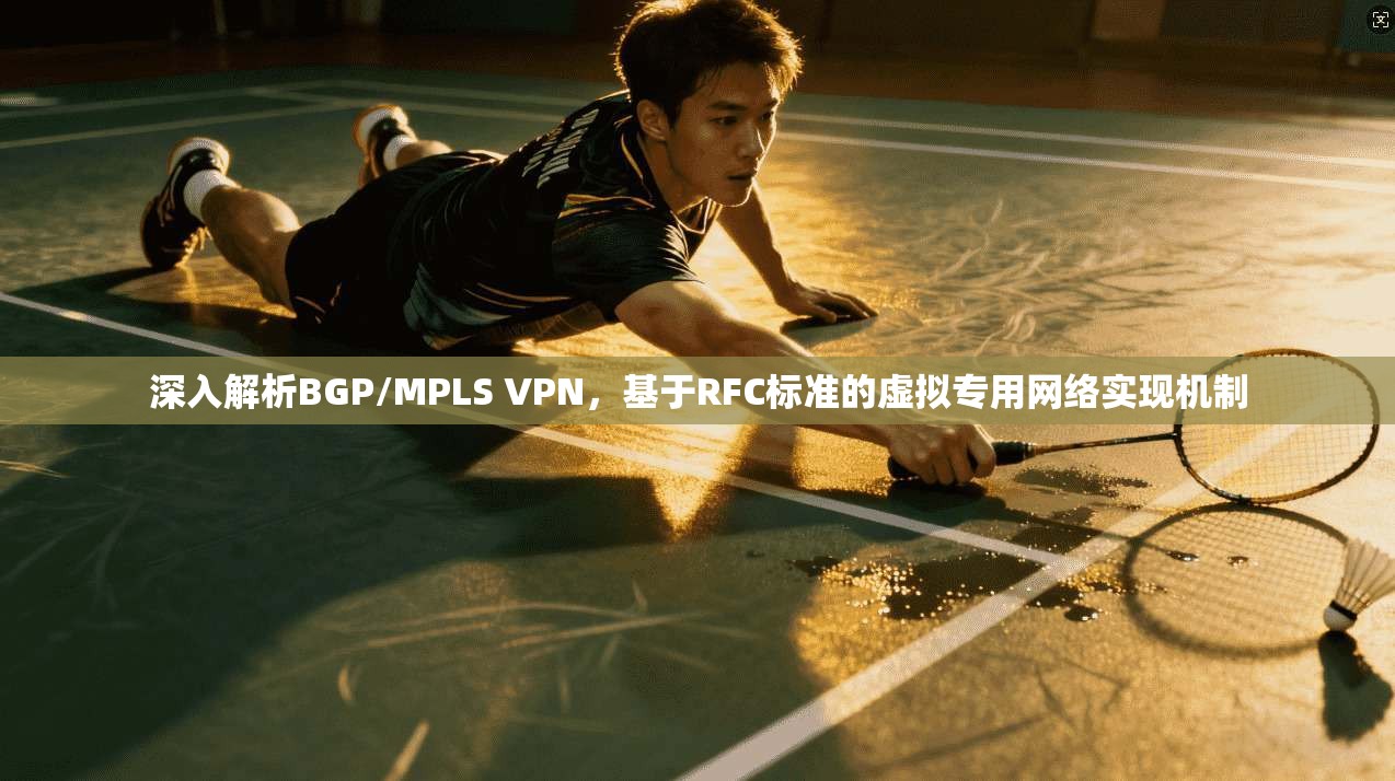 深入解析BGP/MPLS VPN,基于RFC标准的虚拟专用网络实现机制 第1张 深入解析BGP/MPLS VPN,基于RFC标准的虚拟专用网络实现机制 第1张