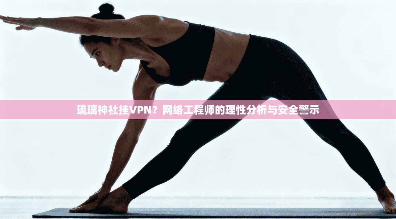 琉璃神社挂VPN？网络工程师的理性分析与安全警示  第1张