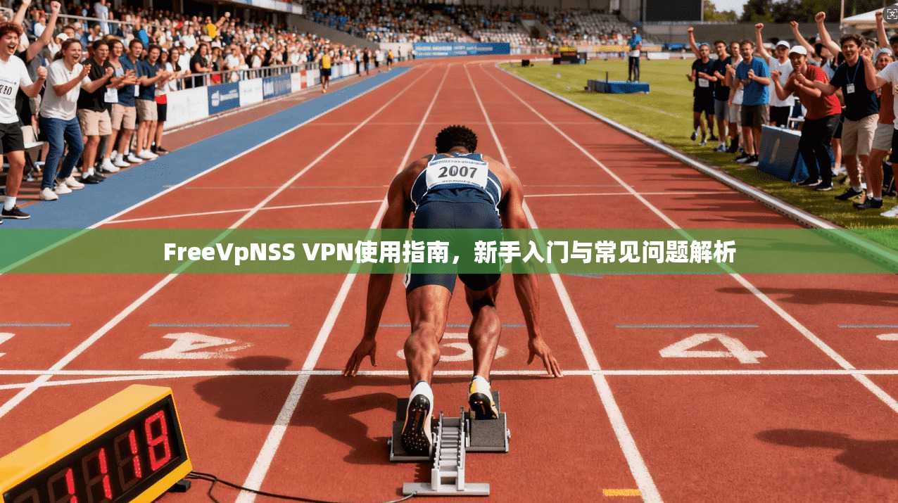FreeVpNSS VPN使用指南，新手入门与常见问题解析  第1张