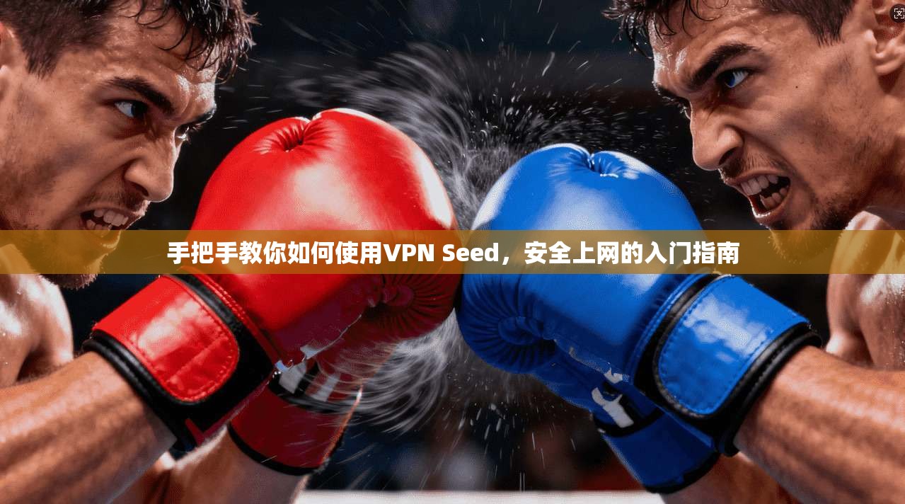 手把手教你如何使用VPN Seed,安全上网的入门指南 第1张 手把手教你如何使用VPN Seed,安全上网的入门指南 第1张