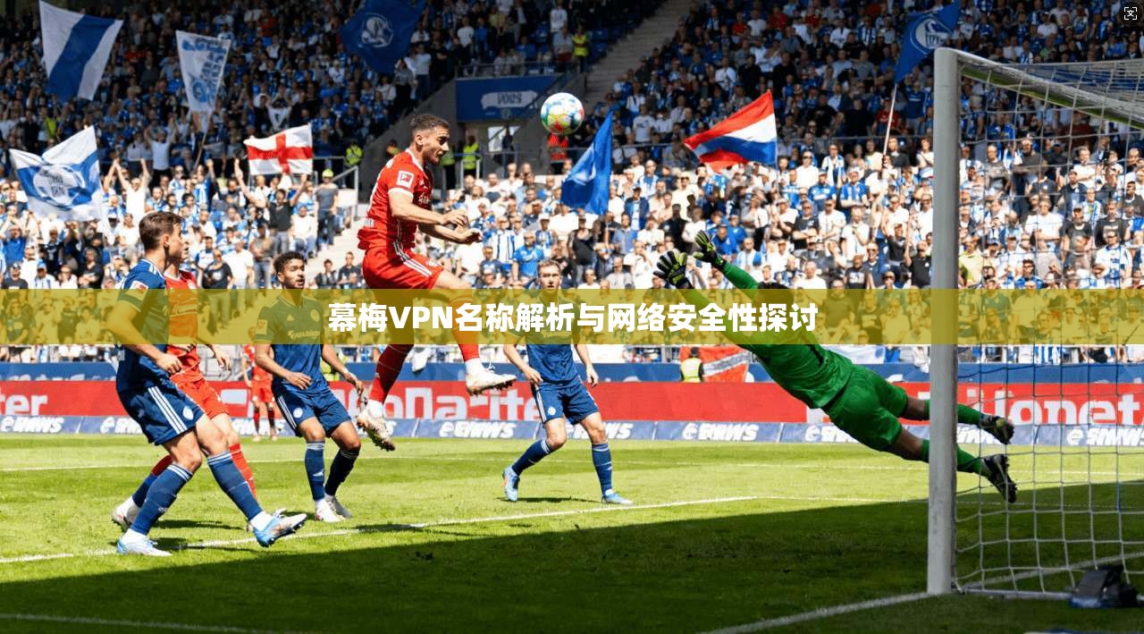 幕梅VPN名称解析与网络安全性探讨 第1张 幕梅VPN名称解析与网络安全性探讨 第1张