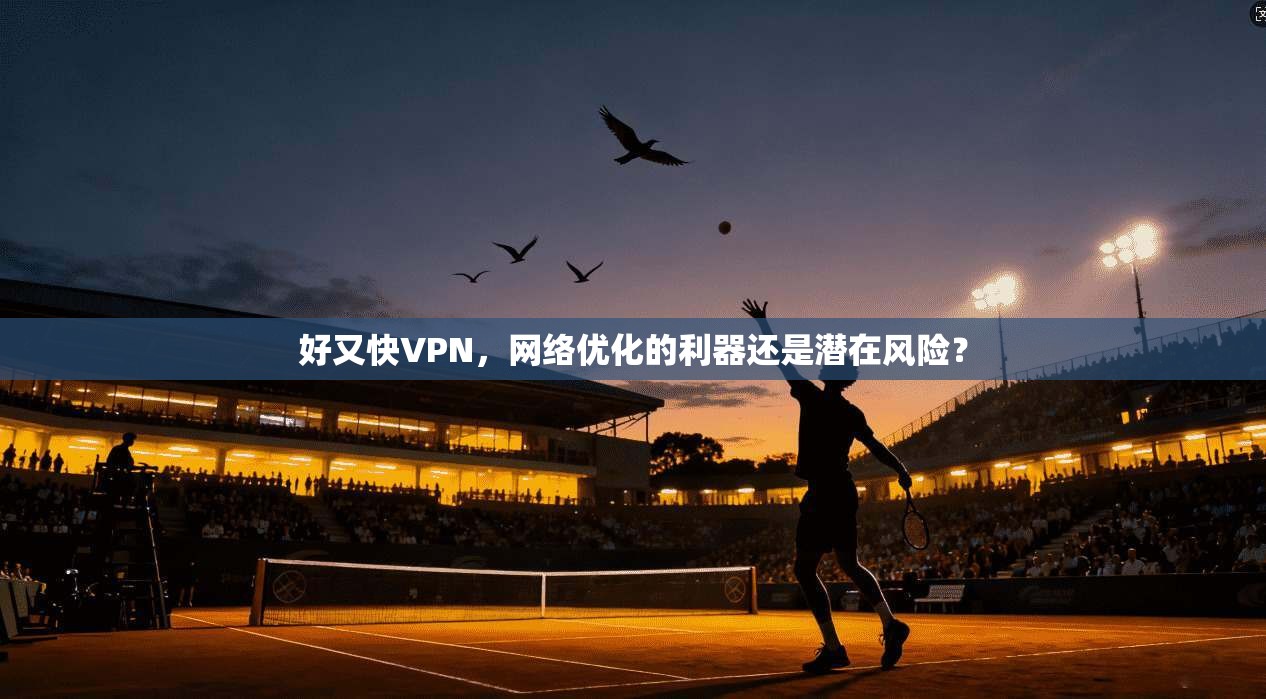 好又快VPN，网络优化的利器还是潜在风险？  第1张
