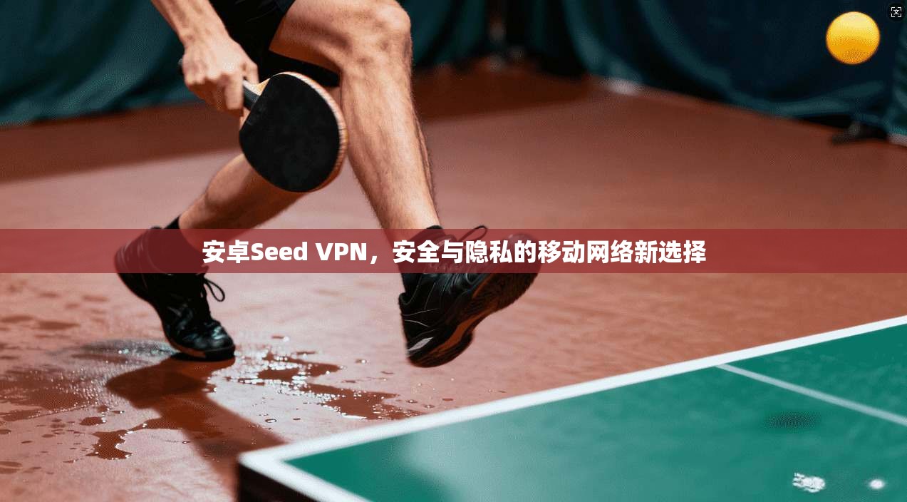 安卓Seed VPN,安全与隐私的移动网络新选择 第1张 安卓Seed VPN,安全与隐私的移动网络新选择 第1张