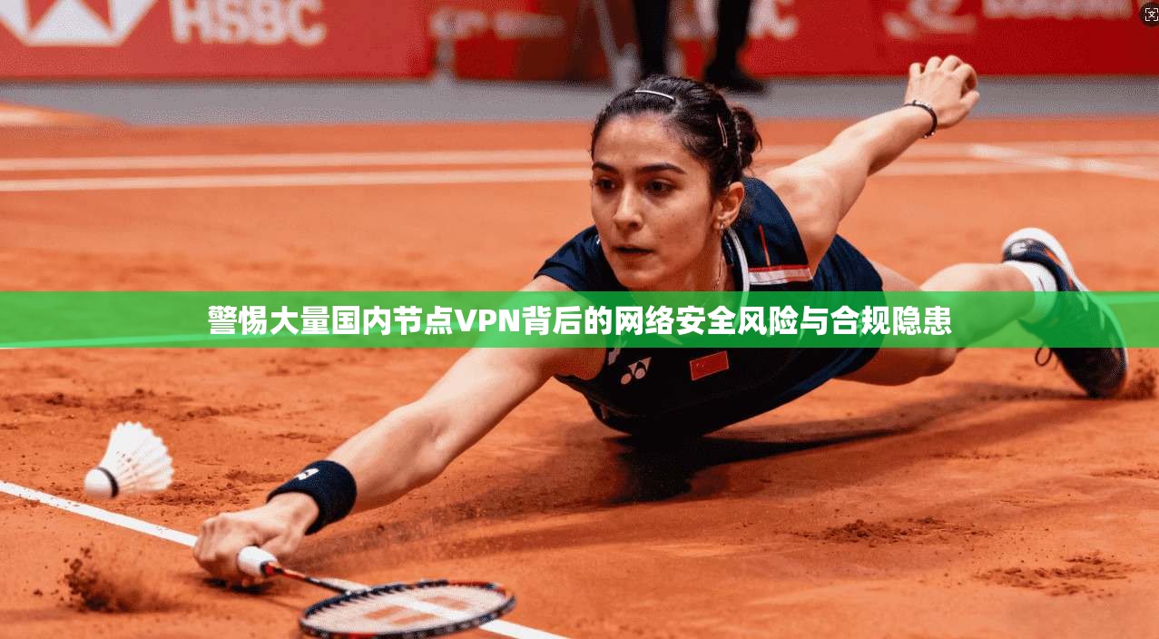 警惕大量国内节点VPN背后的网络安全风险与合规隐患  第1张