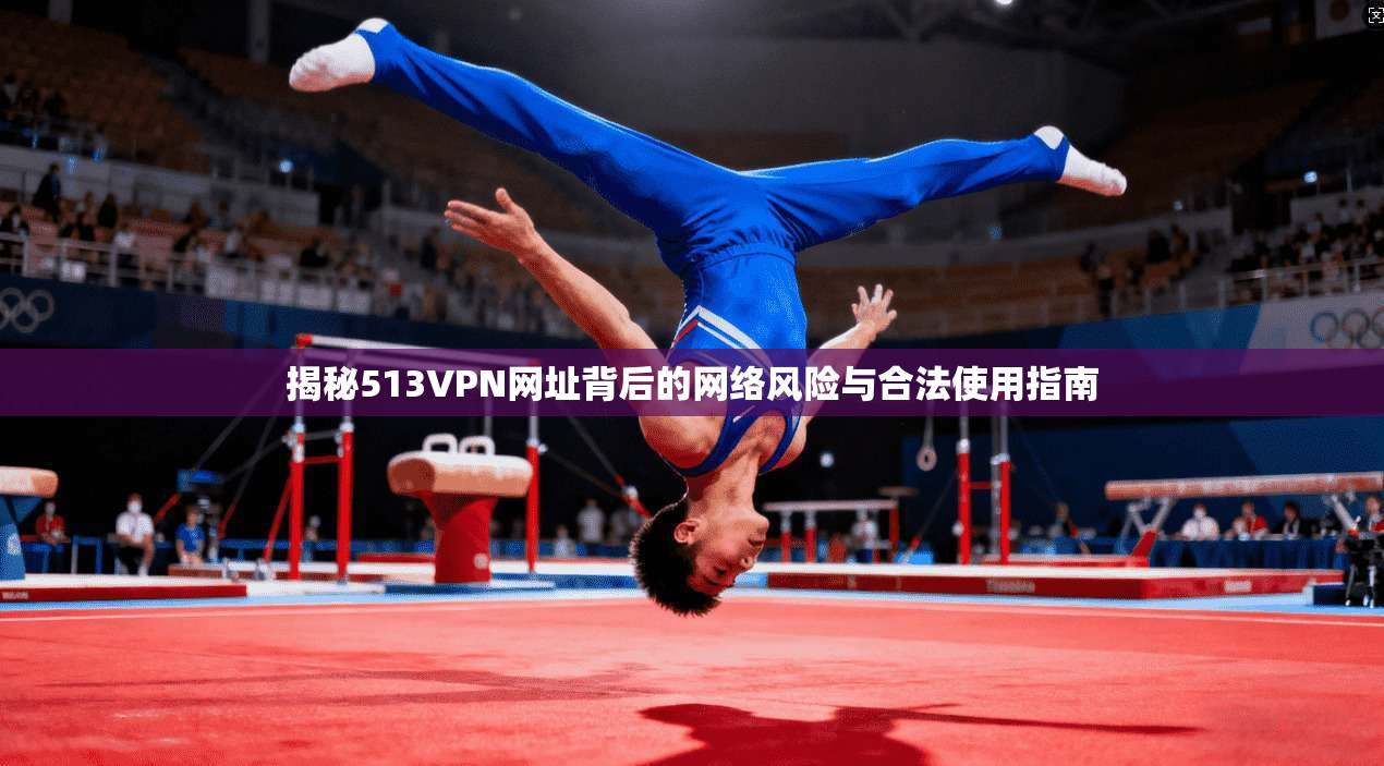 揭秘513VPN网址背后的网络风险与合法使用指南  第1张