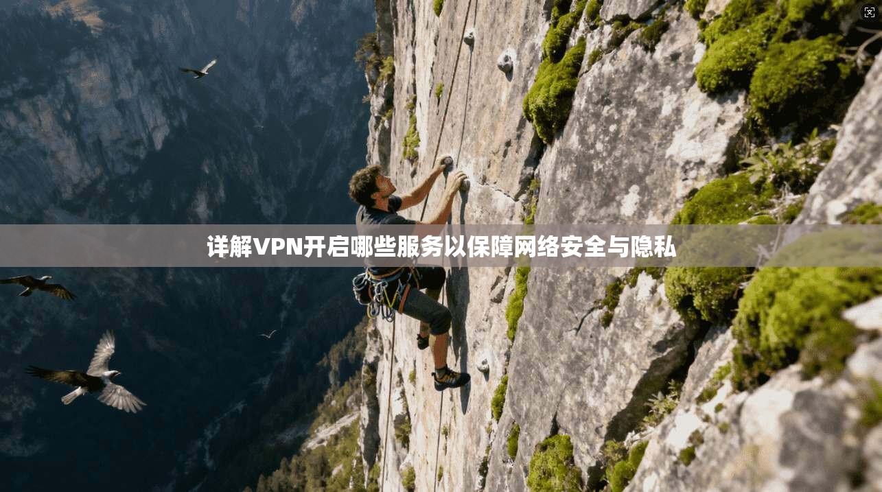 详解VPN开启哪些服务以保障网络安全与隐私 第1张 详解VPN开启哪些服务以保障网络安全与隐私 第1张